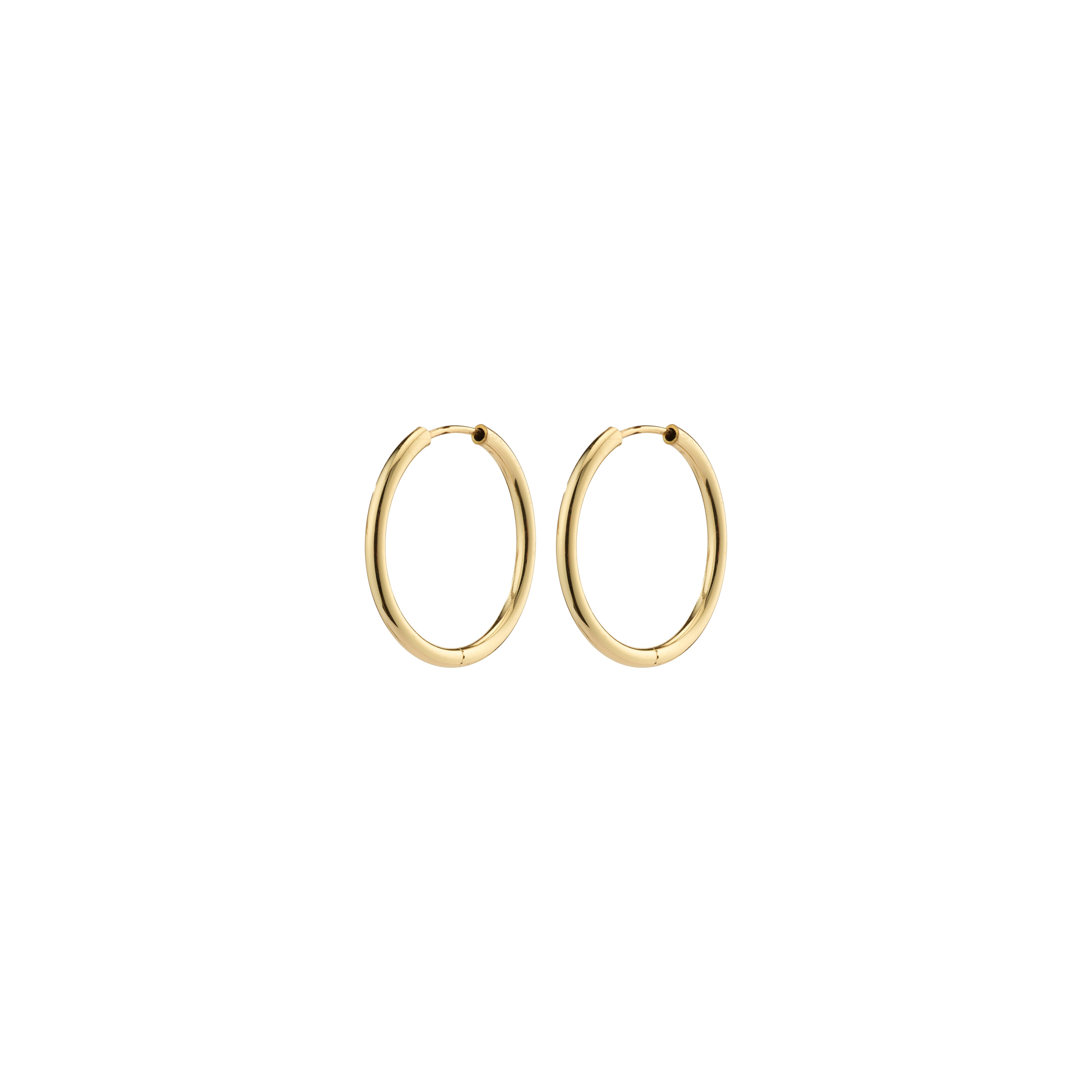 APRIL small gold-plated hoop earrings, elegant and minimalist, 20 mm diameter, perfect for versatile styling. Made from 99% recycled materials by Pilgrim.