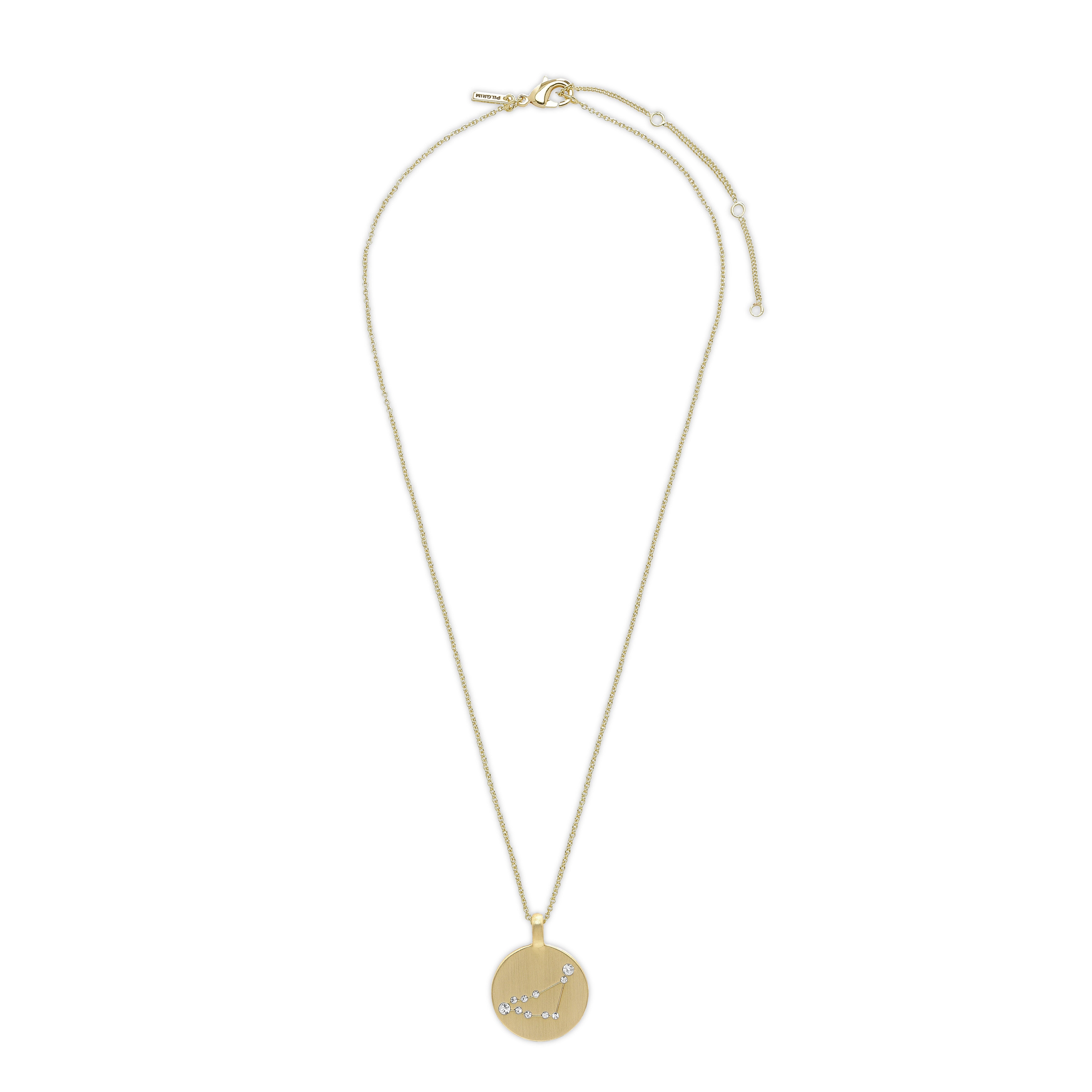 CAPRICORNUS Zodiac Sign Coin Necklace, gold-plated, featuring a round pendant with crystal stones depicting the Capricornus constellation. Perfect blend of timeless style and modern elegance.