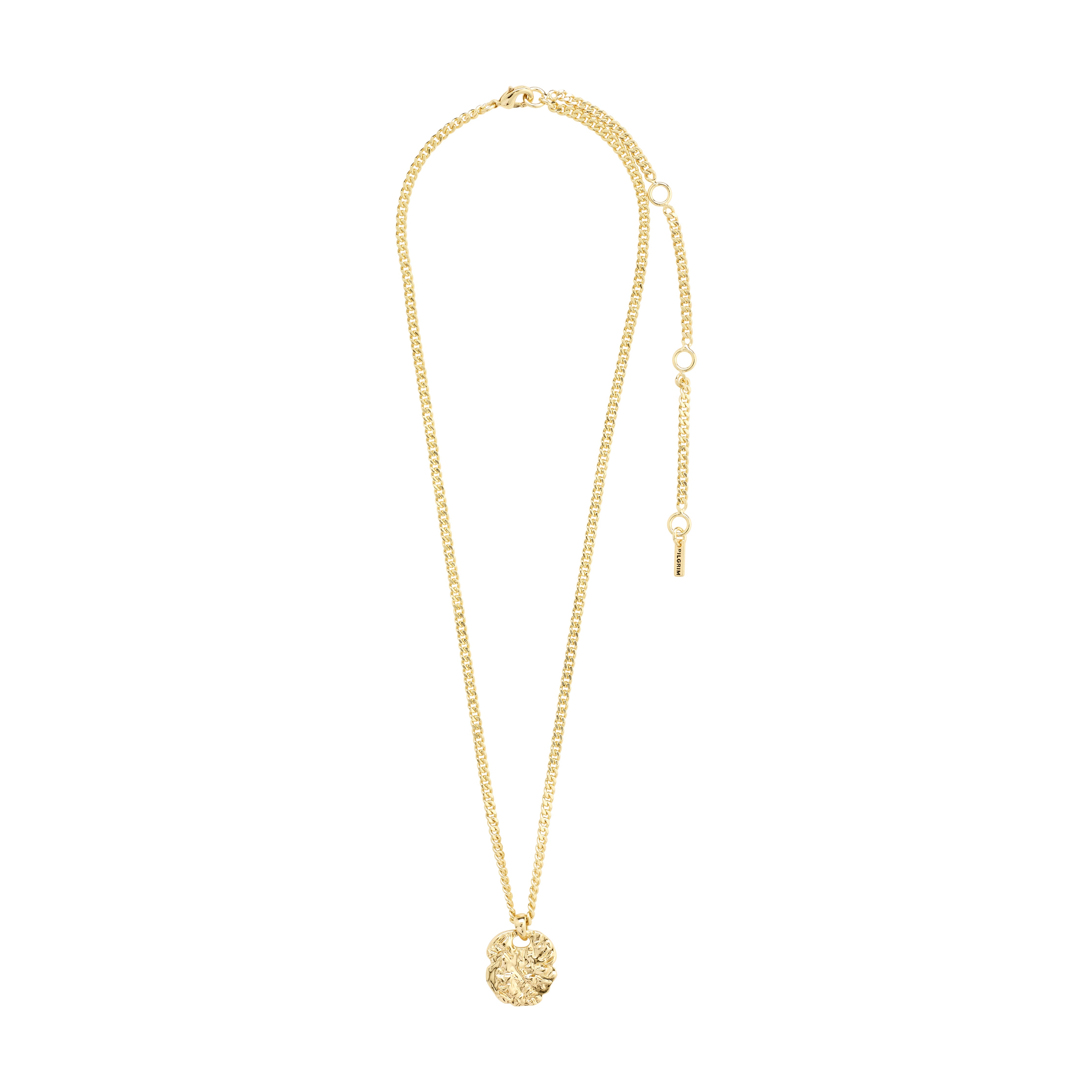 SCOTTIE coin necklace gold-plated featuring a rustic coin pendant on a slender curb chain, emphasizing a genderless style from Pilgrim's recycled material collection.