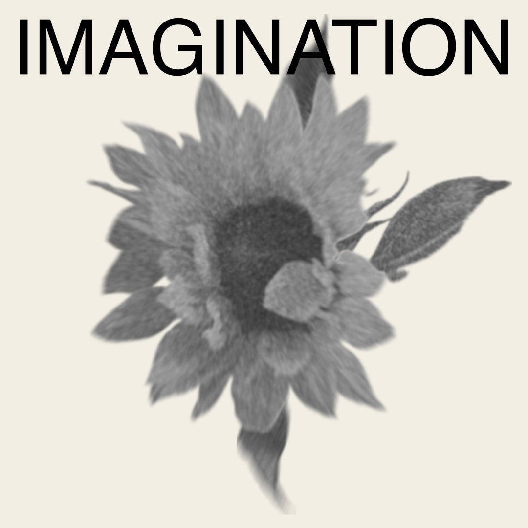 Close-up of a sunflower with black text overlay, reflecting Pilgrim's blend of natural elegance and modern style, appealing to trendsetters.