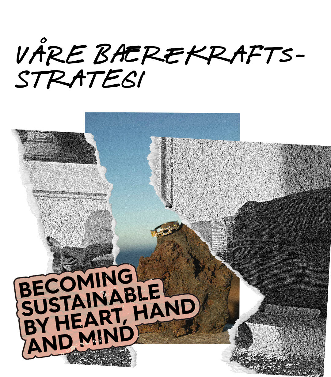 02 VAaR BAeREKRAFTSSTRATEGI txt mobil2 faf93226 2de9 4390 b442 029acbae6460