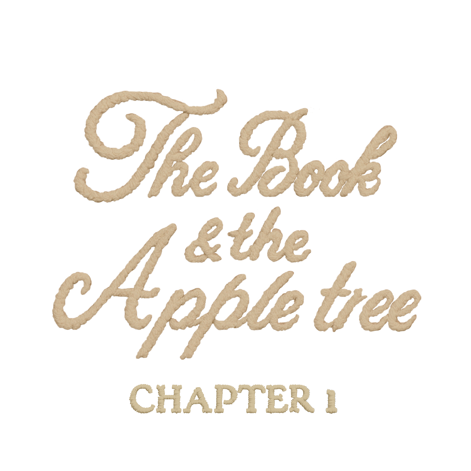 25 4 Sneak Web Landingside Desktop 02