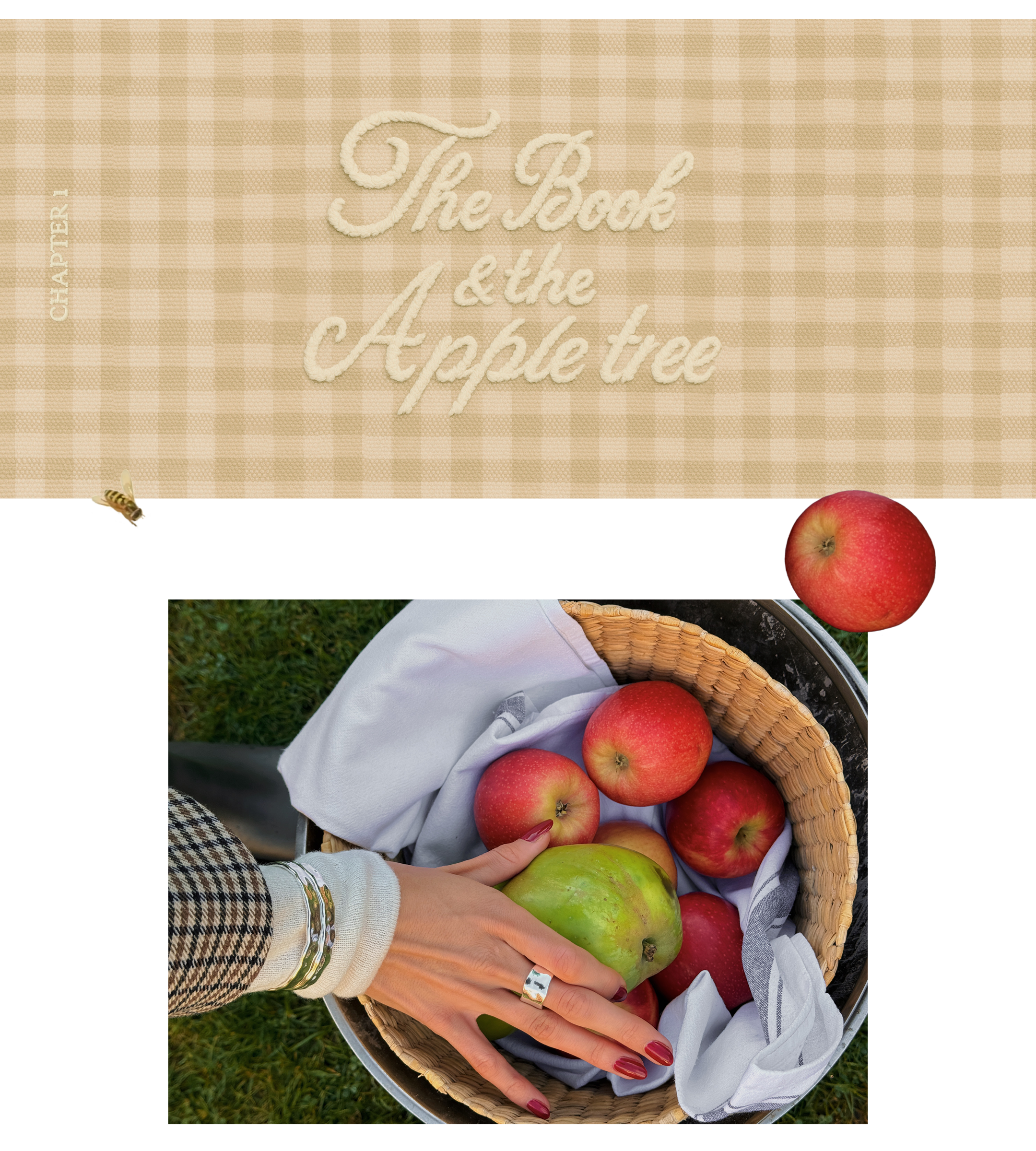 25 4 Sneak Web Landingside Desktop Mobil 06