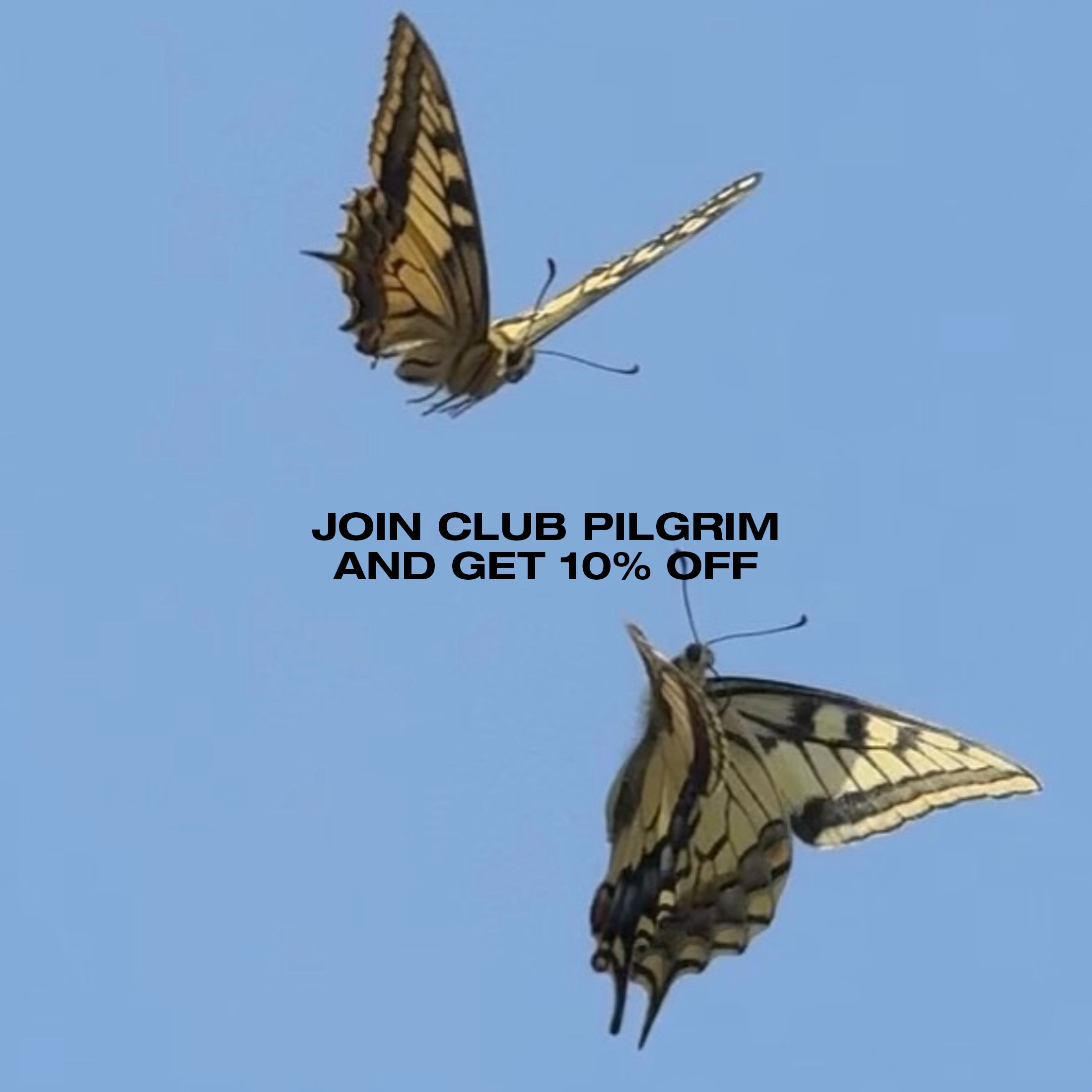 26 1 Unbound CS 2200x2200 11