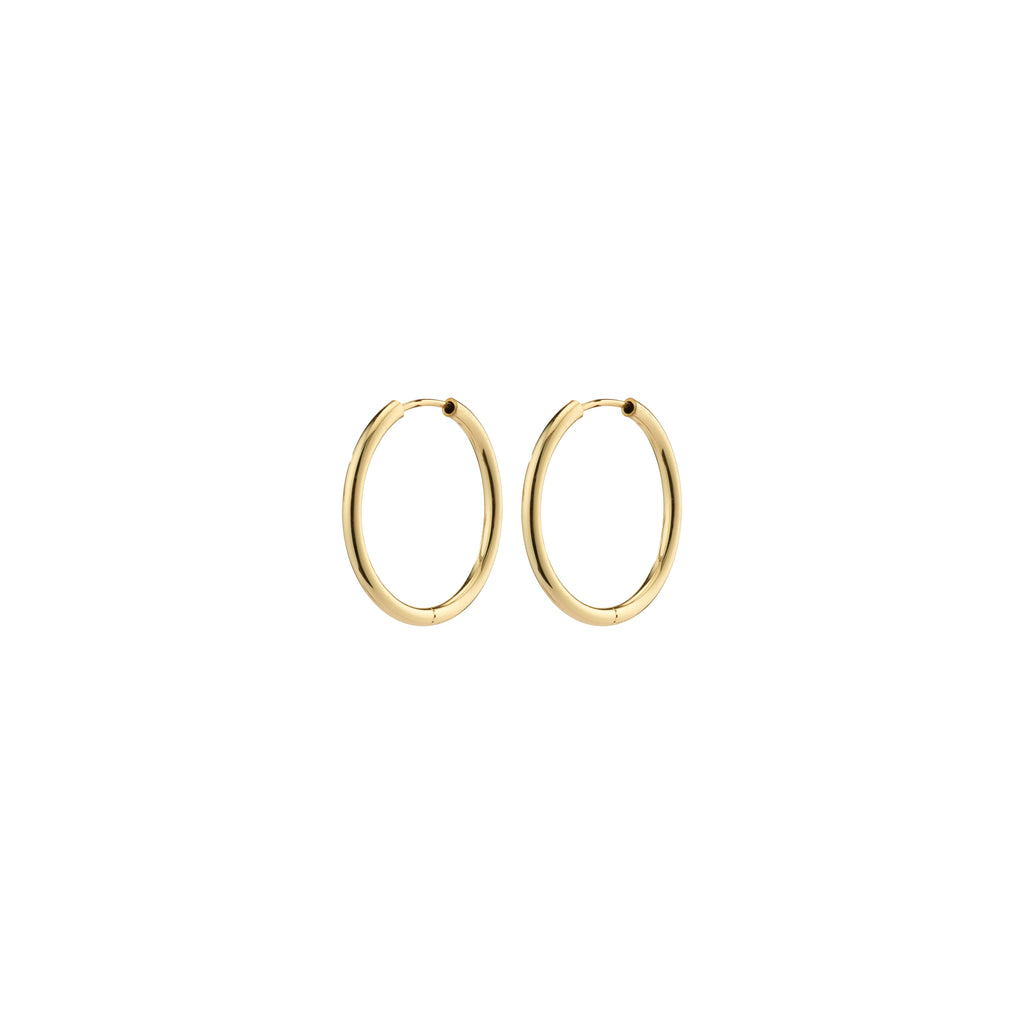 APRIL small gold-plated hoop earrings, elegant and minimalist, 20 mm diameter, perfect for versatile styling. Made from 99% recycled materials by Pilgrim.