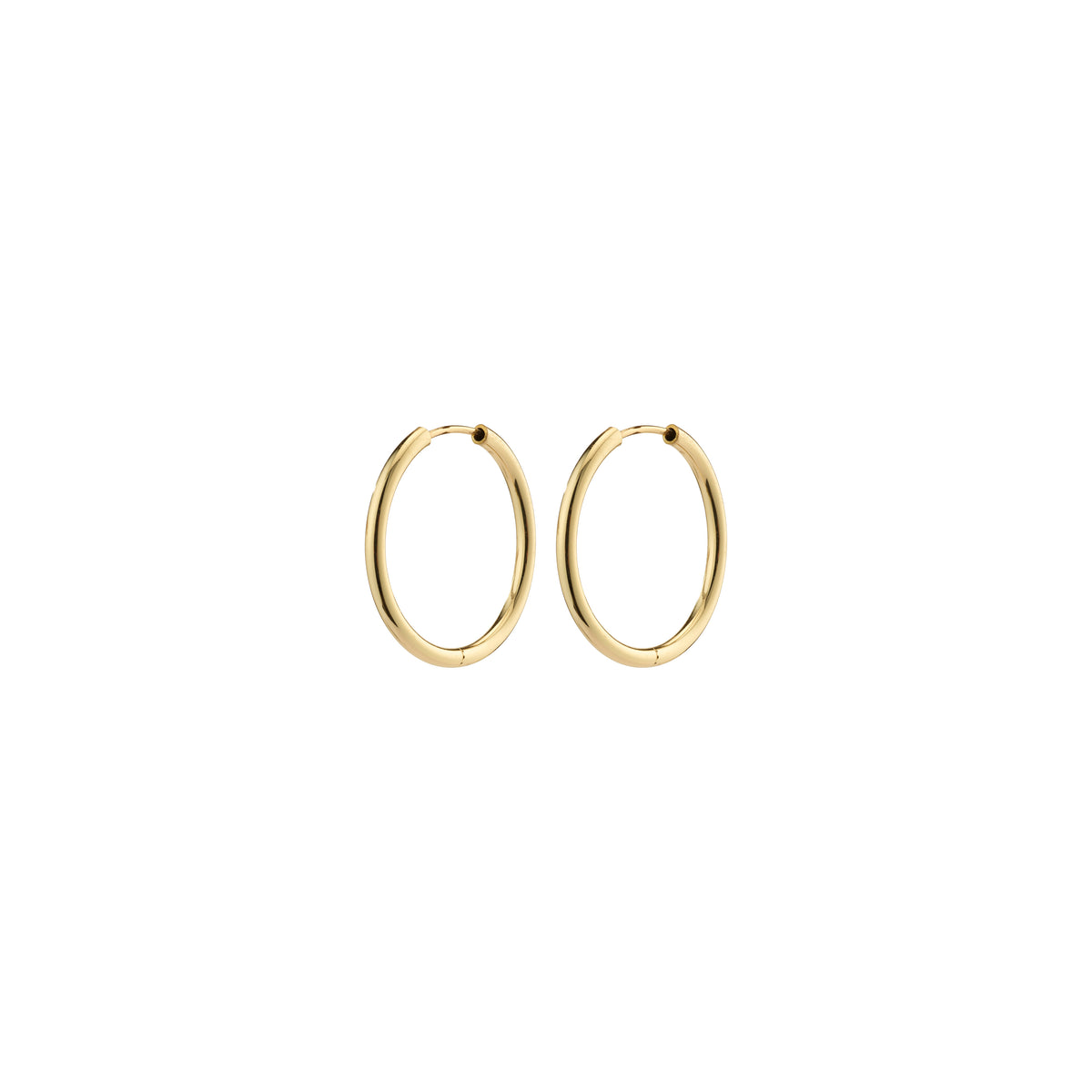 APRIL small gold-plated hoop earrings, elegant and minimalist, 20 mm diameter, perfect for versatile styling. Made from 99% recycled materials by Pilgrim.