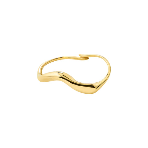 EVON double ring gold-plated