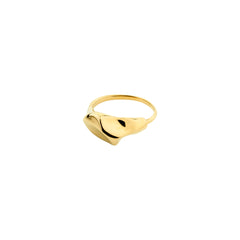 INDI Ring vergoldet