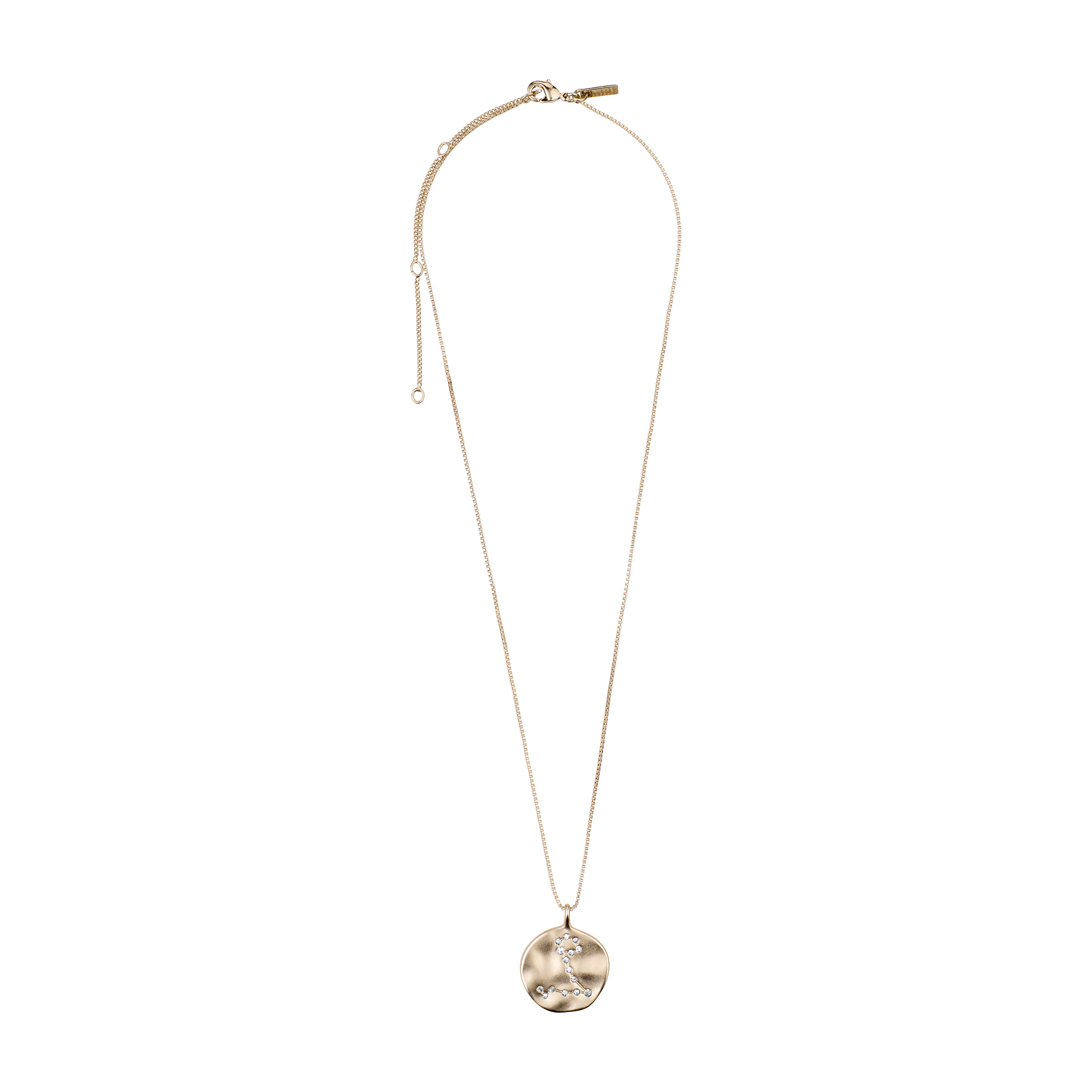 PISCES Zodiac Sign Coin Necklace, gold-plated, features a satin-finished pendant with a zodiac motif and crystal-studded constellation, on an adjustable 40 cm chain.