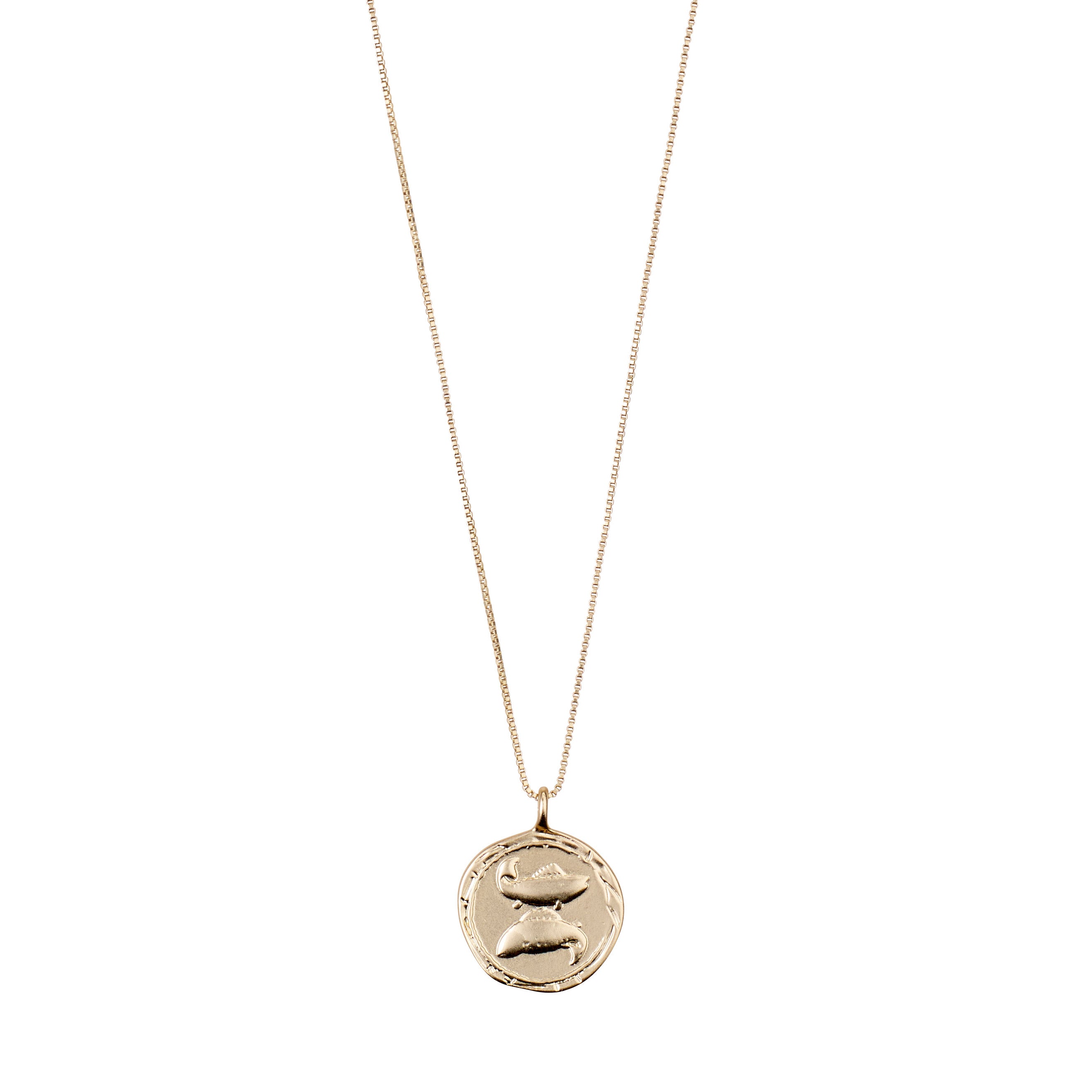 PISCES Zodiac Sign Coin Necklace, gold-plated, featuring a double-sided pendant with a zodiac motif and crystal-studded constellation, adjustable chain included.