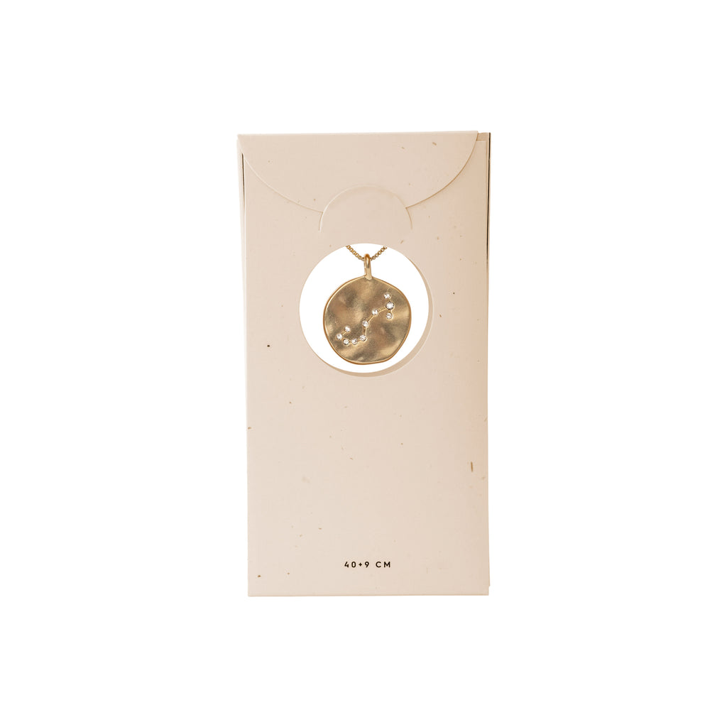 SCORPIO Zodiac Sign Coin Necklace, gold-plated, features a double-sided pendant with a zodiac motif and constellation in crystals, presented in a white box.