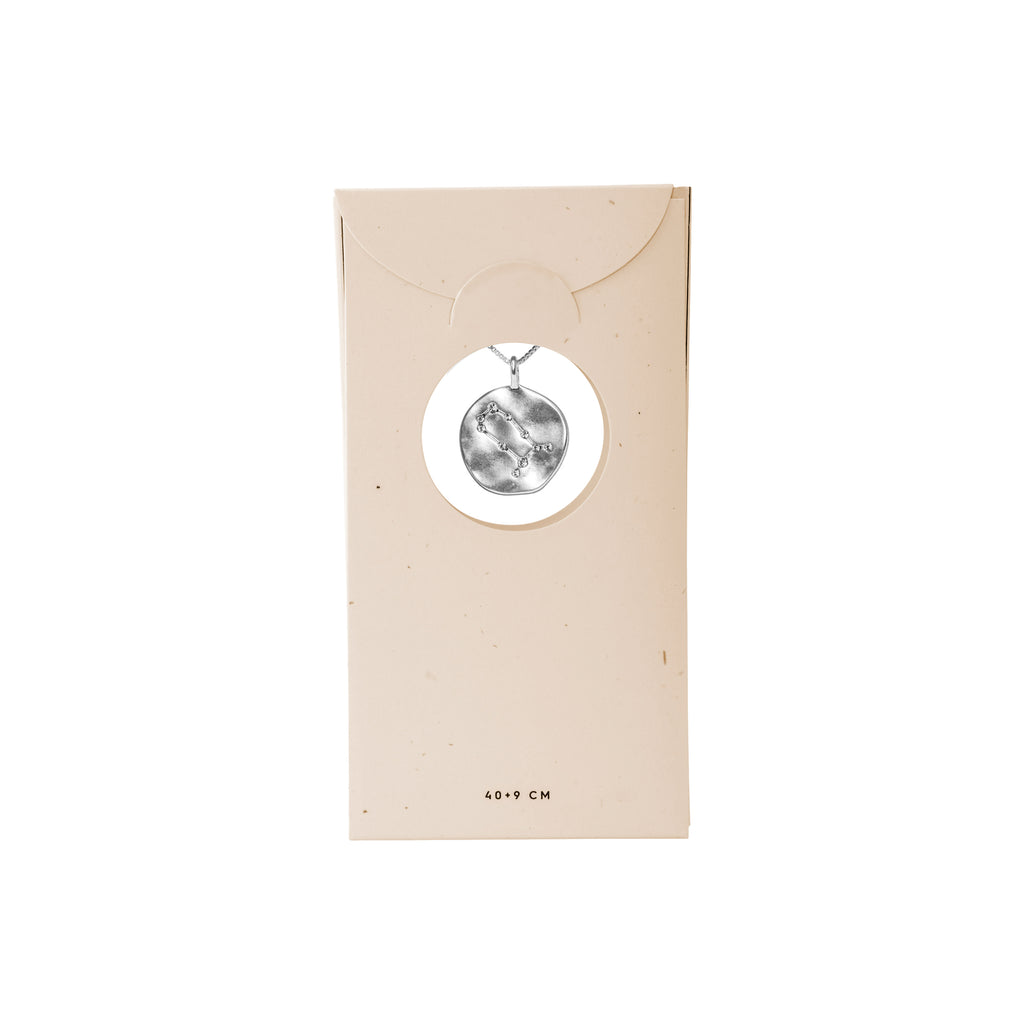 GEMINI Zodiac Sign Coin Necklace, silver-plated, featuring a double-sided pendant with a zodiac motif and star constellation, ideal for personal style and gifting.