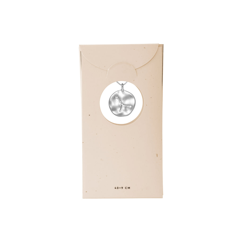 CANCER Zodiac Sign Coin Necklace, silver-plated, featuring a double-sided pendant with zodiac and constellation motifs, adorned with sparkling crystals on an adjustable chain.