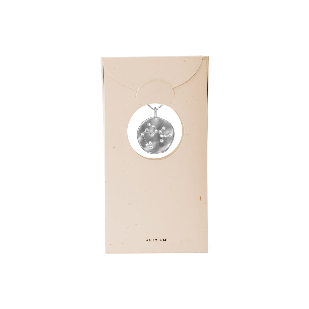 SAGITTARIUS Zodiac Sign Coin Necklace, silver-plated, featuring a double-sided pendant with zodiac motif and crystal constellation, ideal for personal style and gifting.