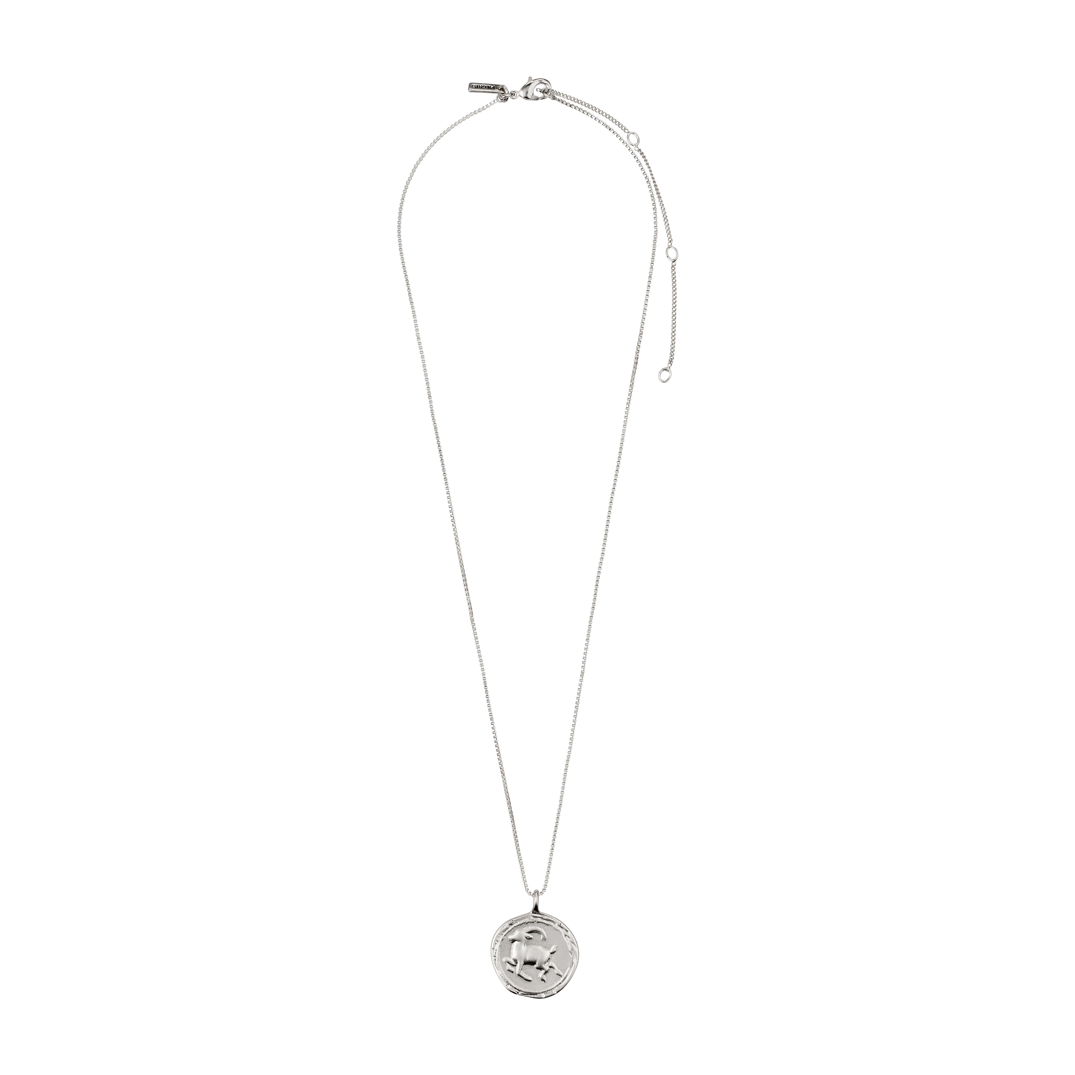 CAPRICORNUS recycl. Zodiac Sign Coin Necklace, silver-plated, features a double-sided medallion with zodiac and constellation designs, adjustable chain, perfect for astrology enthusiasts.