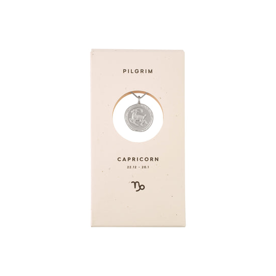 CAPRICORNUS recycl. Zodiac Sign Coin Necklace, silver-plated