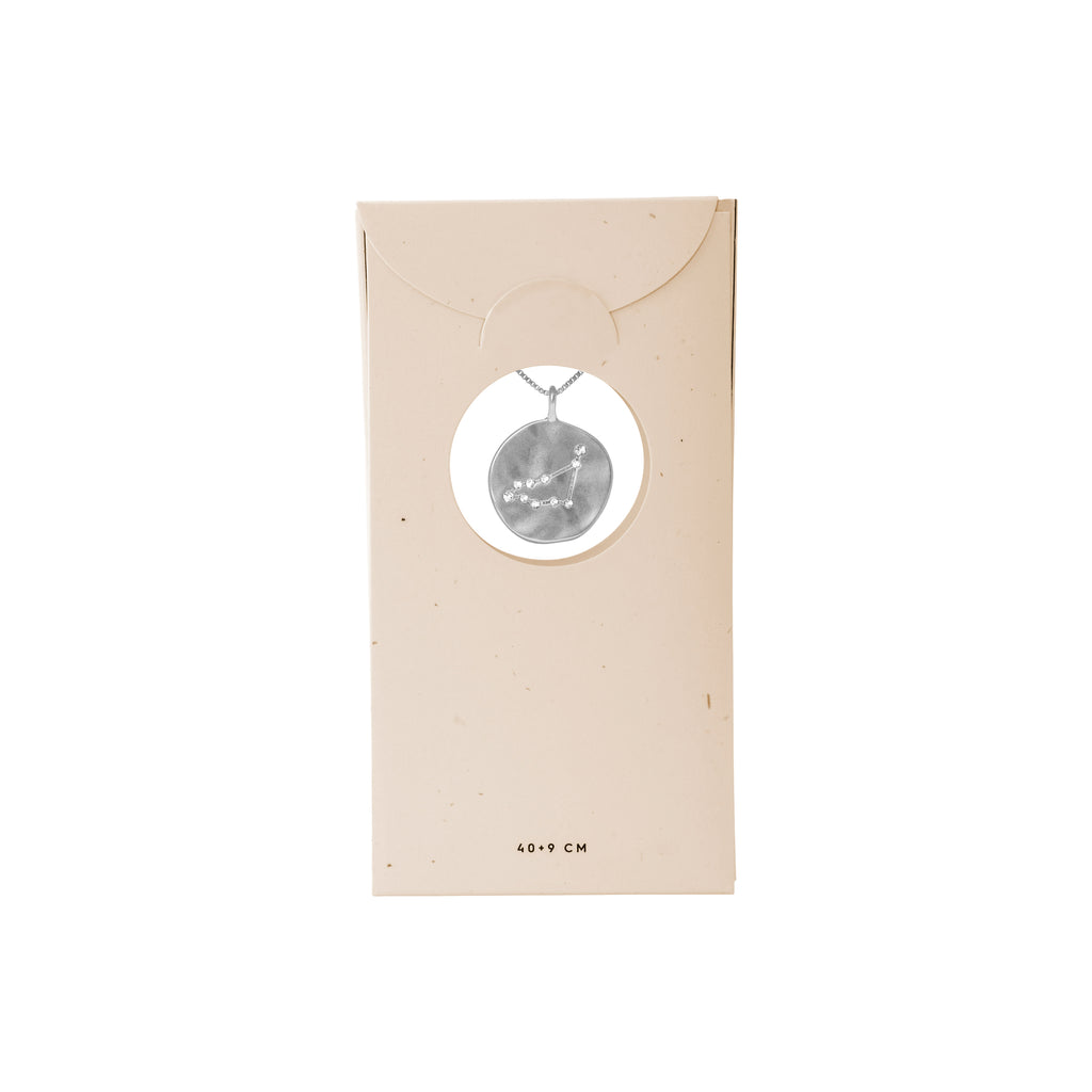 Silver-plated Capricornus Zodiac Sign Coin Necklace in a box, featuring a double-sided pendant with a zodiac motif and constellation in sparkling crystals.