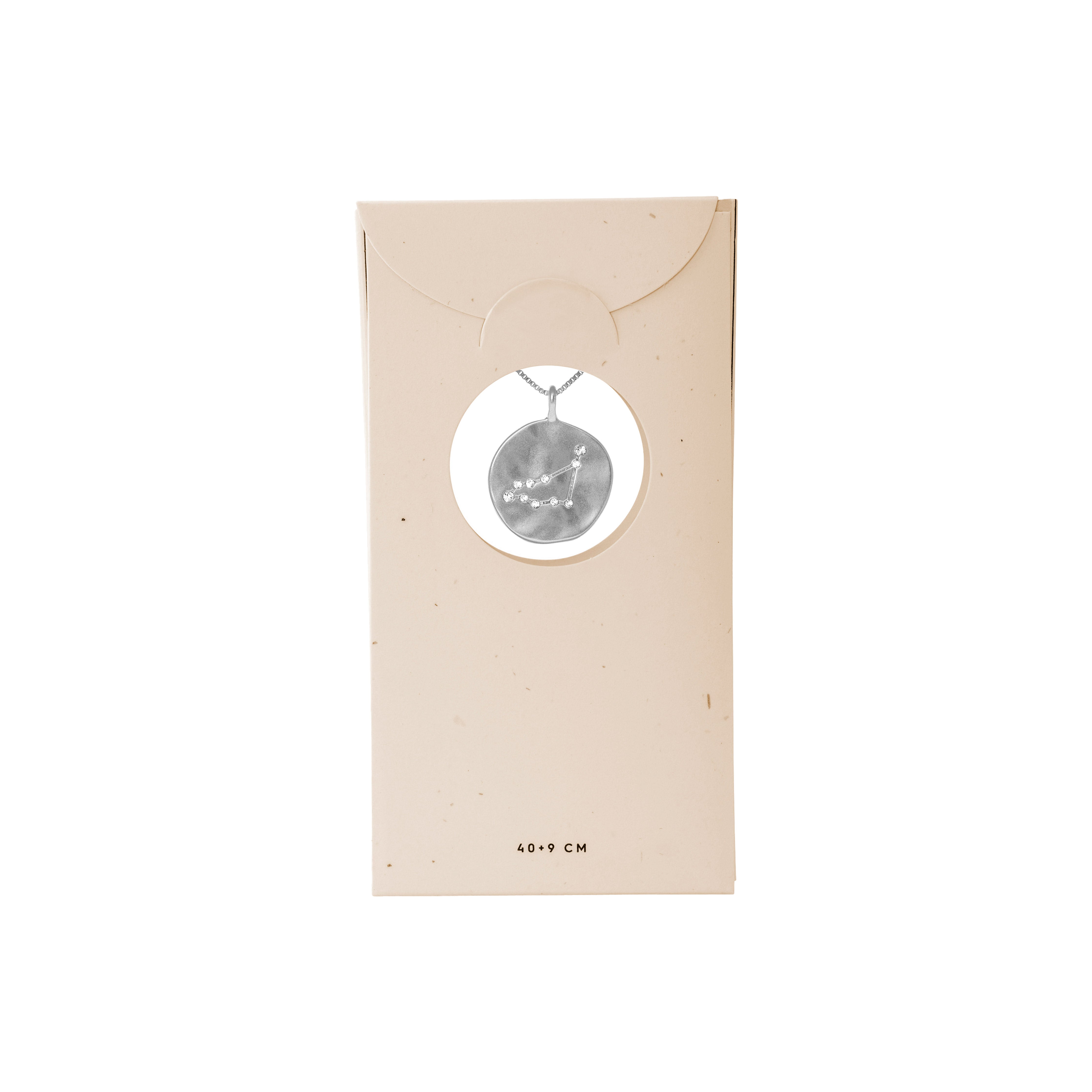 Silver-plated Capricornus Zodiac Sign Coin Necklace in a box, featuring a double-sided pendant with a zodiac motif and constellation in sparkling crystals.