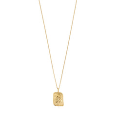 CAPRICORNUS Zodiac Sign necklace, gold-plated