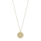 AQUARIUS Zodiac Sign Coin Necklace,  gold-plated
