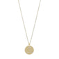 PISCES Zodiac Sign Coin Necklace, gold-plated