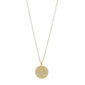CAPRICORNUS Zodiac Sign Coin Necklace, gold-plated