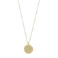 Gold-plated CAPRICORNUS Zodiac Sign Coin Necklace featuring a round pendant with crystal stones, ideal for trendsetters seeking a stylish, personal accessory.