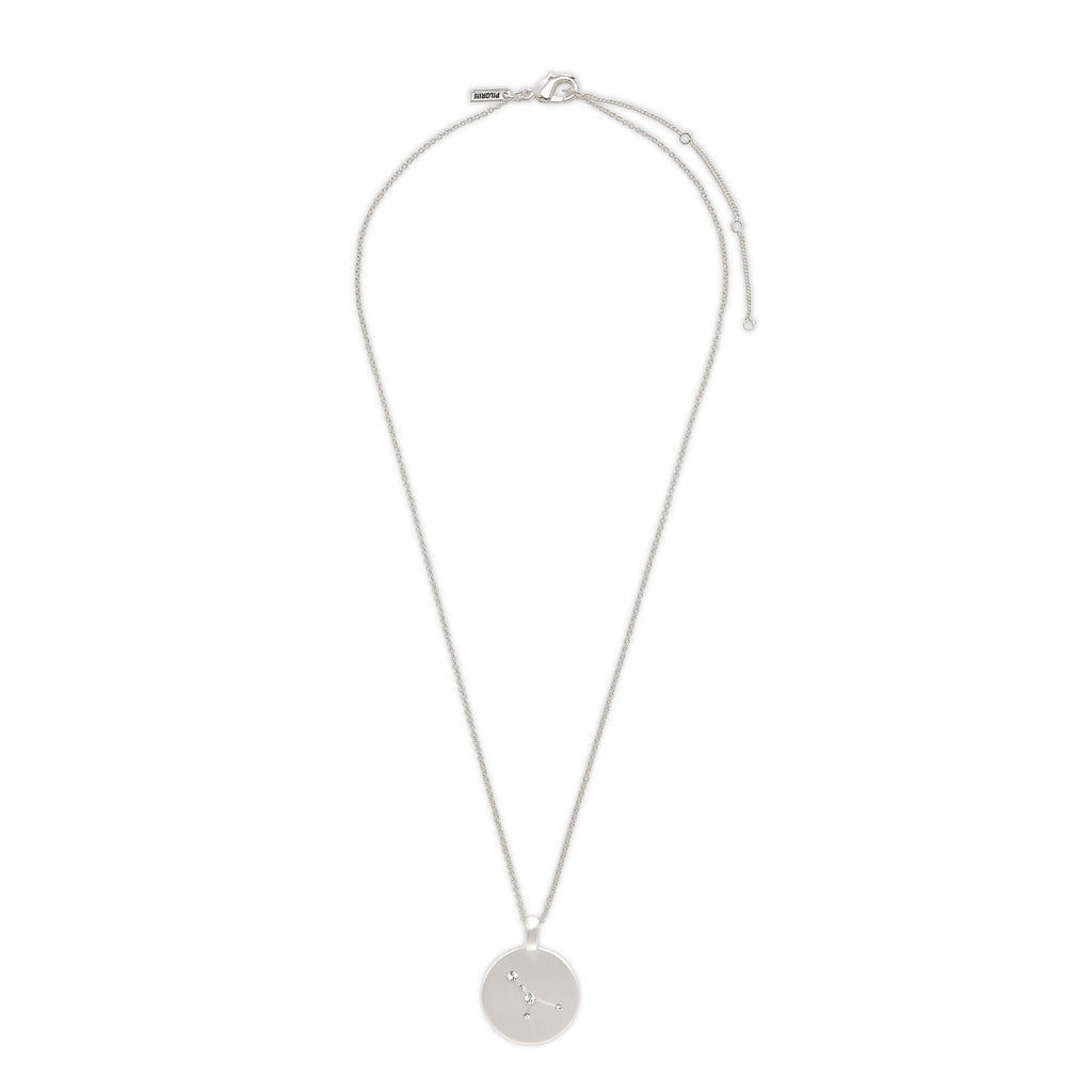 CANCER Zodiac Sign Coin Necklace, silver-plated, featuring a round pendant with crystal stars, perfect for trendsetters seeking a personalized, timeless accessory.