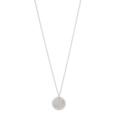 SCORPIO Zodiac Sign Coin Necklace, silver-plated