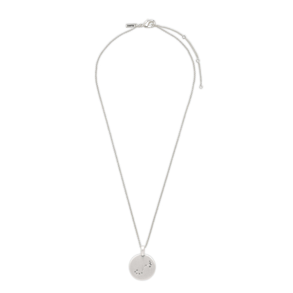 SCORPIO Zodiac Sign Coin Necklace, silver-plated with a round pendant featuring crystal-studded Scorpio constellation, perfect for personal style enthusiasts.