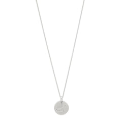 CAPRICORNUS Zodiac Sign Coin Necklace, silver-plated
