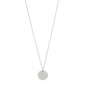 CAPRICORNUS Zodiac Sign Coin Necklace, silver-plated, featuring a round pendant with crystal-studded Capricorn constellation, perfect for style-conscious trendsetters.