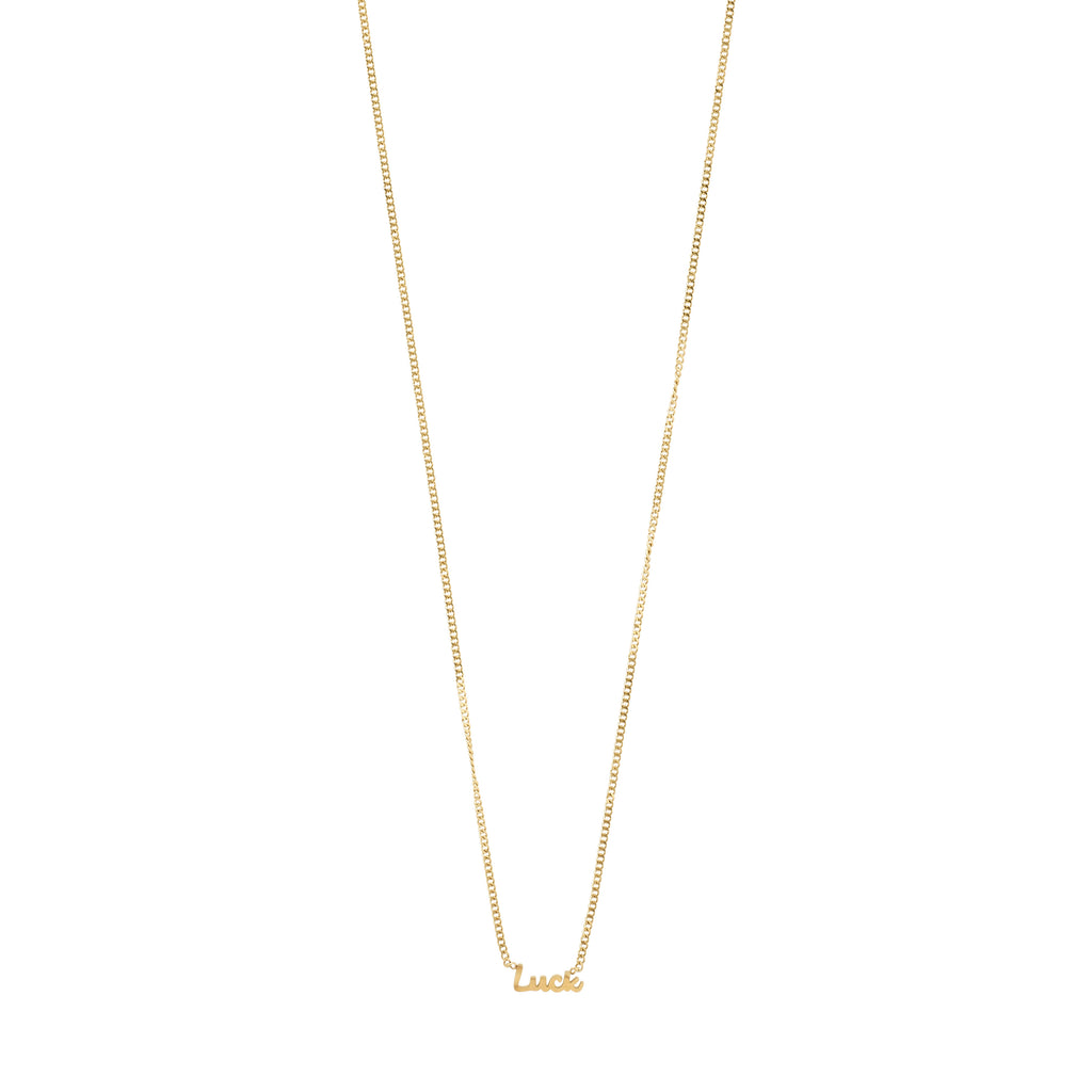 Gold-plated 'LUCK' name necklace featuring a cursive script pendant on a sleek chain, ideal for personal style and daily wear.