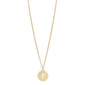 ELIN coin pendant necklace, gold-plated, featuring a tree silhouette on a round pendant with a 40 cm chain and 9 cm extension.