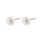 EMORY freshwater pearl earrings