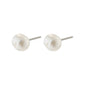 EMORY freshwater pearl earrings from Pilgrim, featuring genuine pearls, perfect for any occasion, pairing elegance with versatility for a timeless, stylish look.