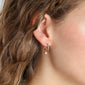 Earrings : Berta : Rose Gold Plated