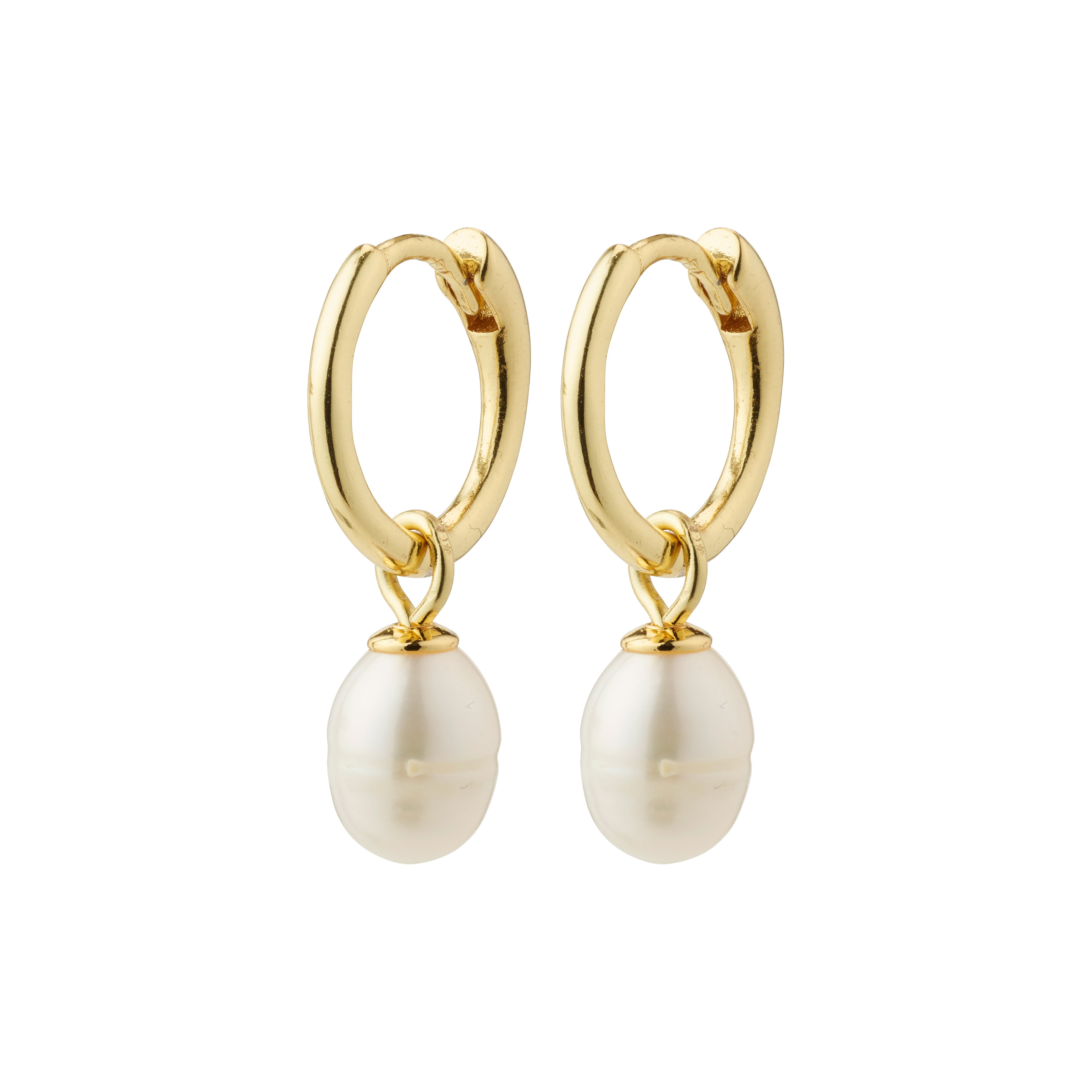 BERTHE pearl hoop earrings gold-plated, featuring gold hoops with detachable white freshwater pearl pendants, inspired by nature for a classy, natural look.