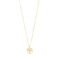 IBEN tree-of-life necklace gold-plated with a round pendant featuring a crystal-embellished Tree of Life design, on a 40 cm chain with 9 cm extension.