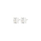 SABLE crystal earstuds silver-plated