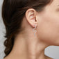 DAGNY crystal earrings silver-plated