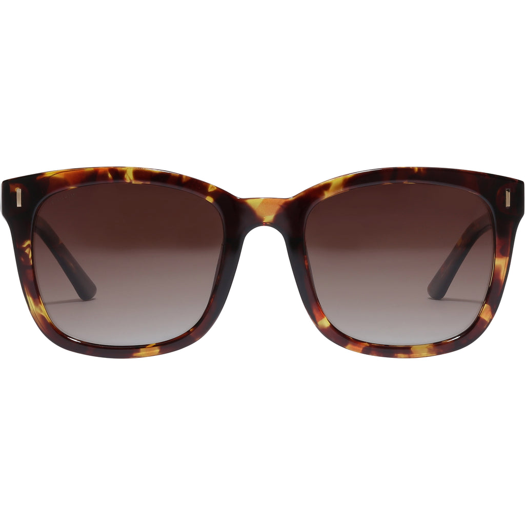 KATYA sunglasses in tortoise brown with gold accents, featuring a classic design and graduated lenses, perfect for a stylish summer look.