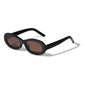 ALEXANDRIA sunglasses black with chunky oval frame and brown lenses, offering UV protection, crafted from recycled materials by Pilgrim.