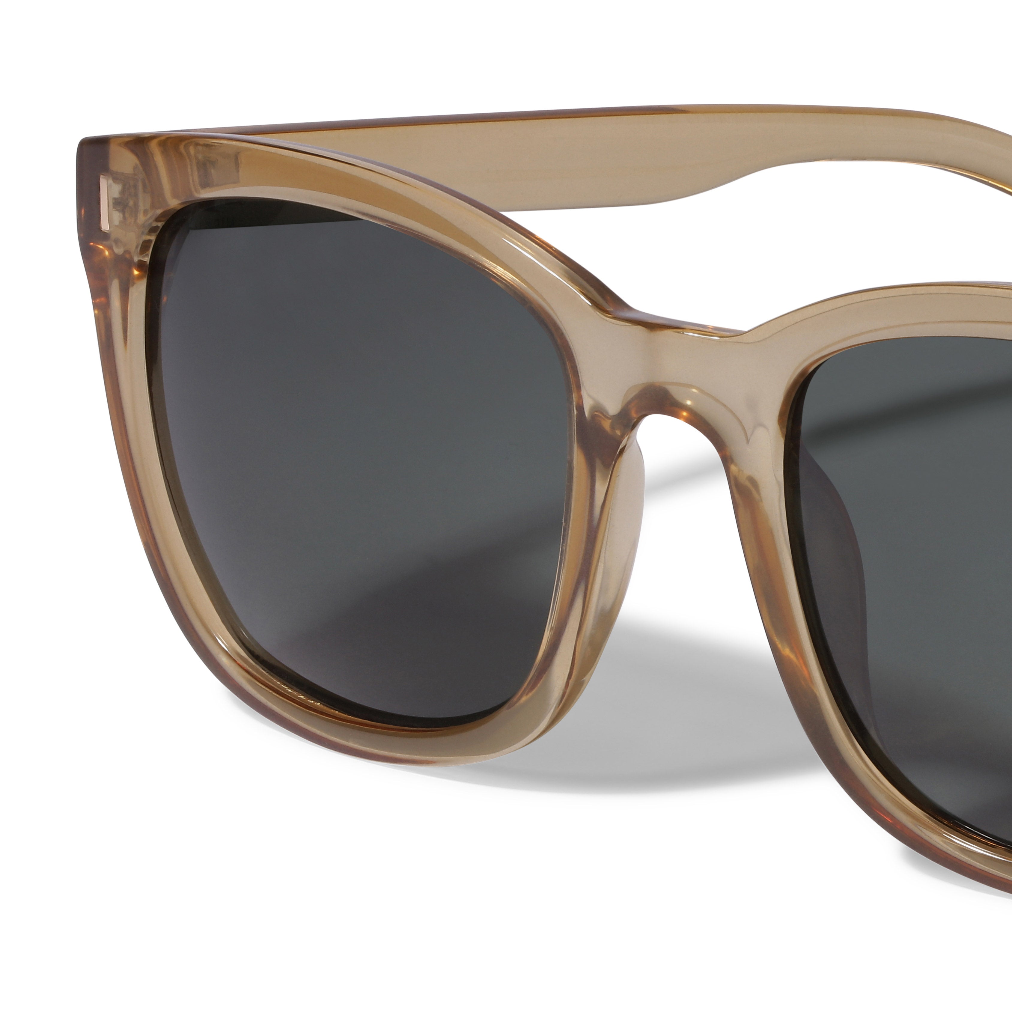 COOTIE /RazaGlasses Tortoise×Light Brown COOTIE /RazaGlasses Tortoise×Light Brown Round Sunglass with Brown