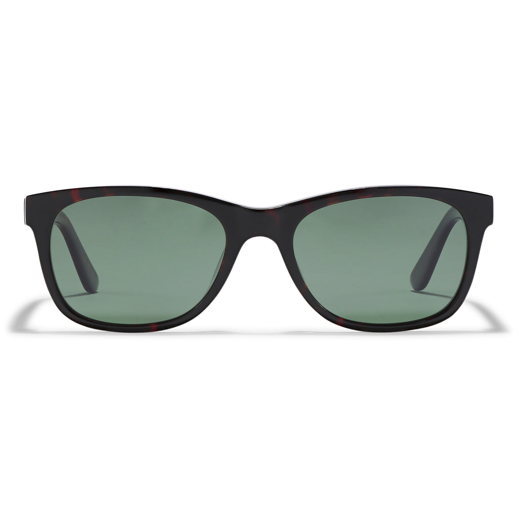CORBYN Sonnenbrille braun