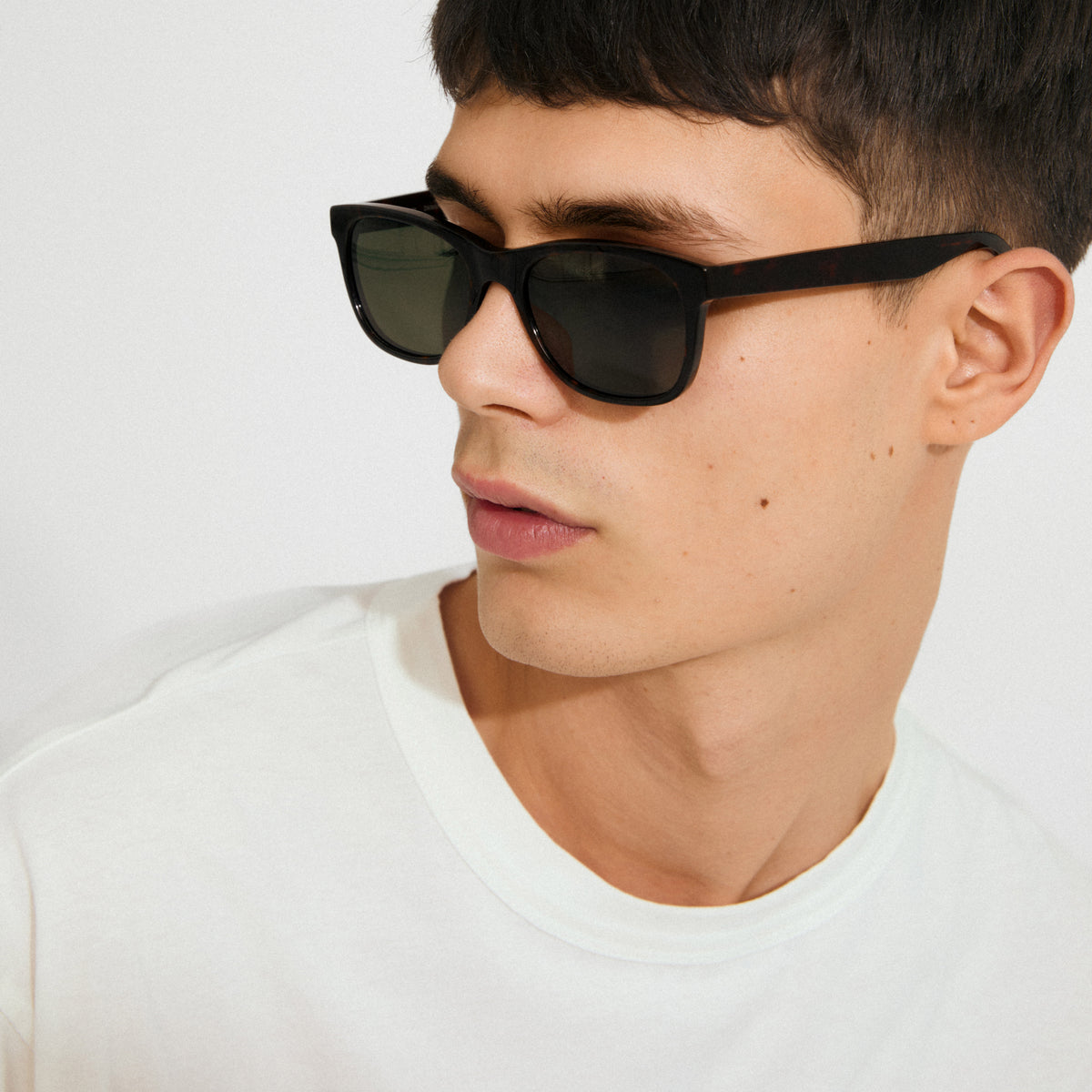 CORBYN Sonnenbrille braun