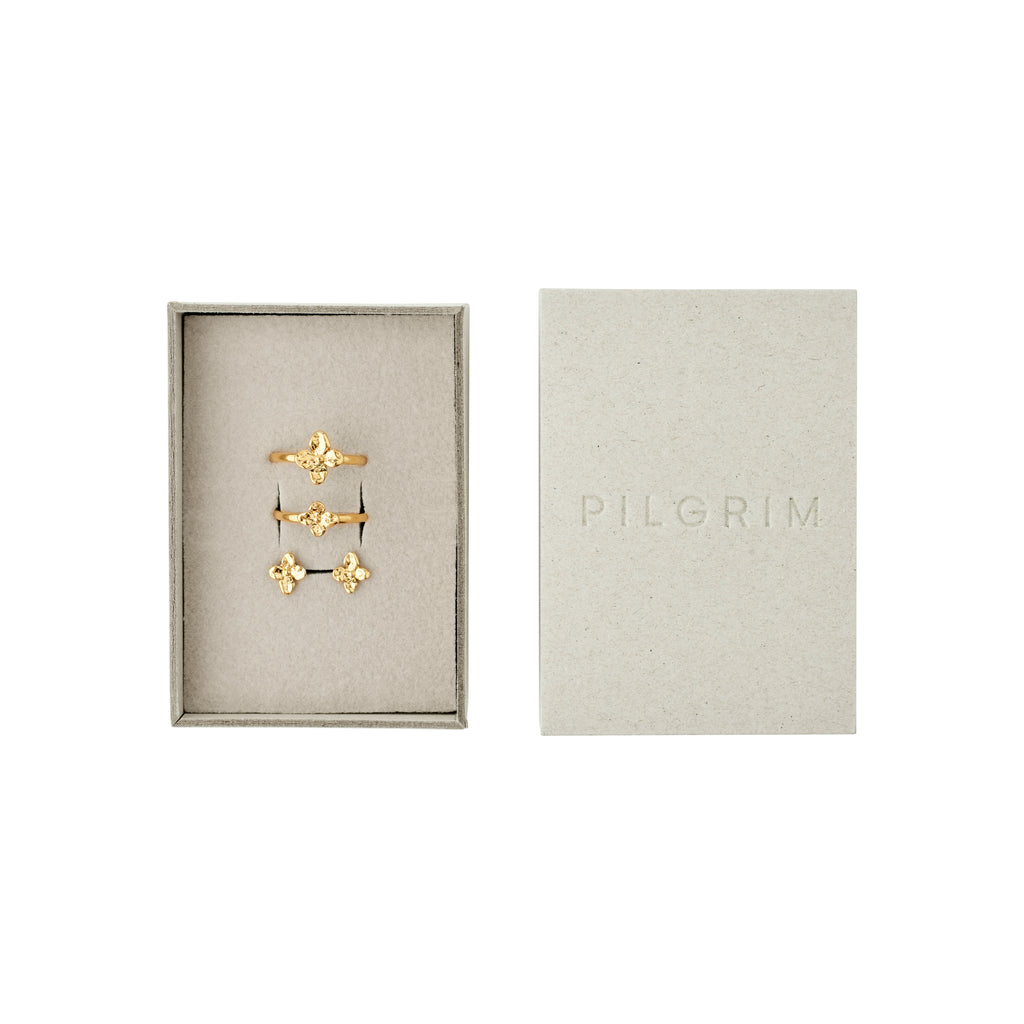 SANINE presentset, ringar & örhängen, guldpläterade
