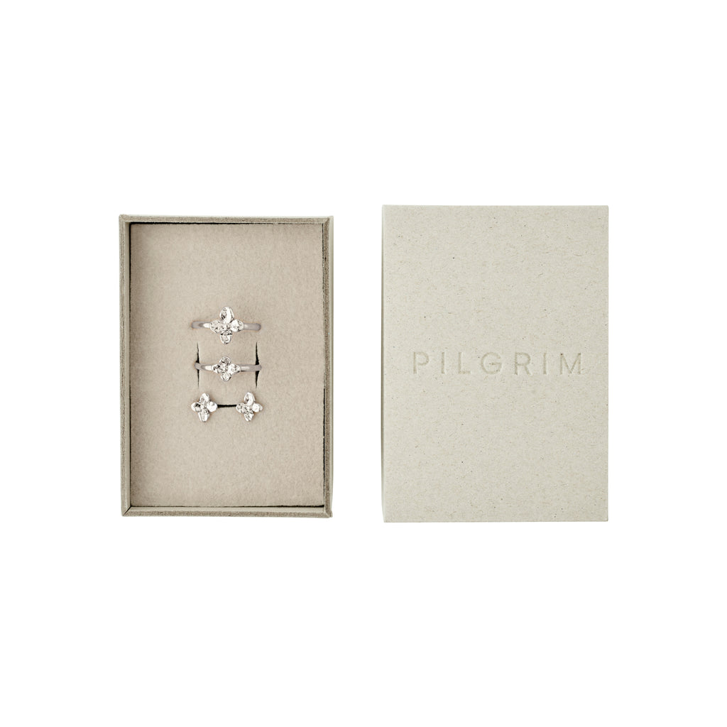 SANINE presentset, ringar & örhängen, silverpläterade