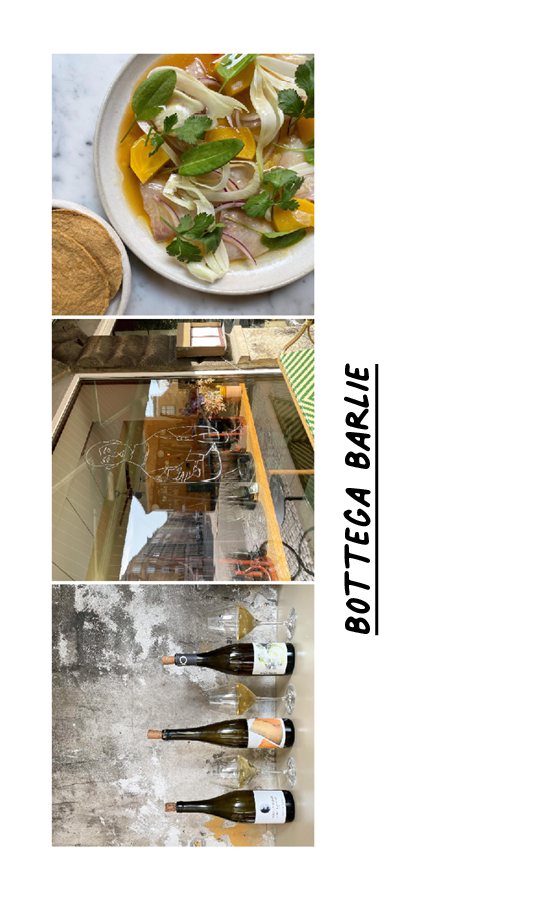Pilgrim CPH Guide Lunch 540x900 5