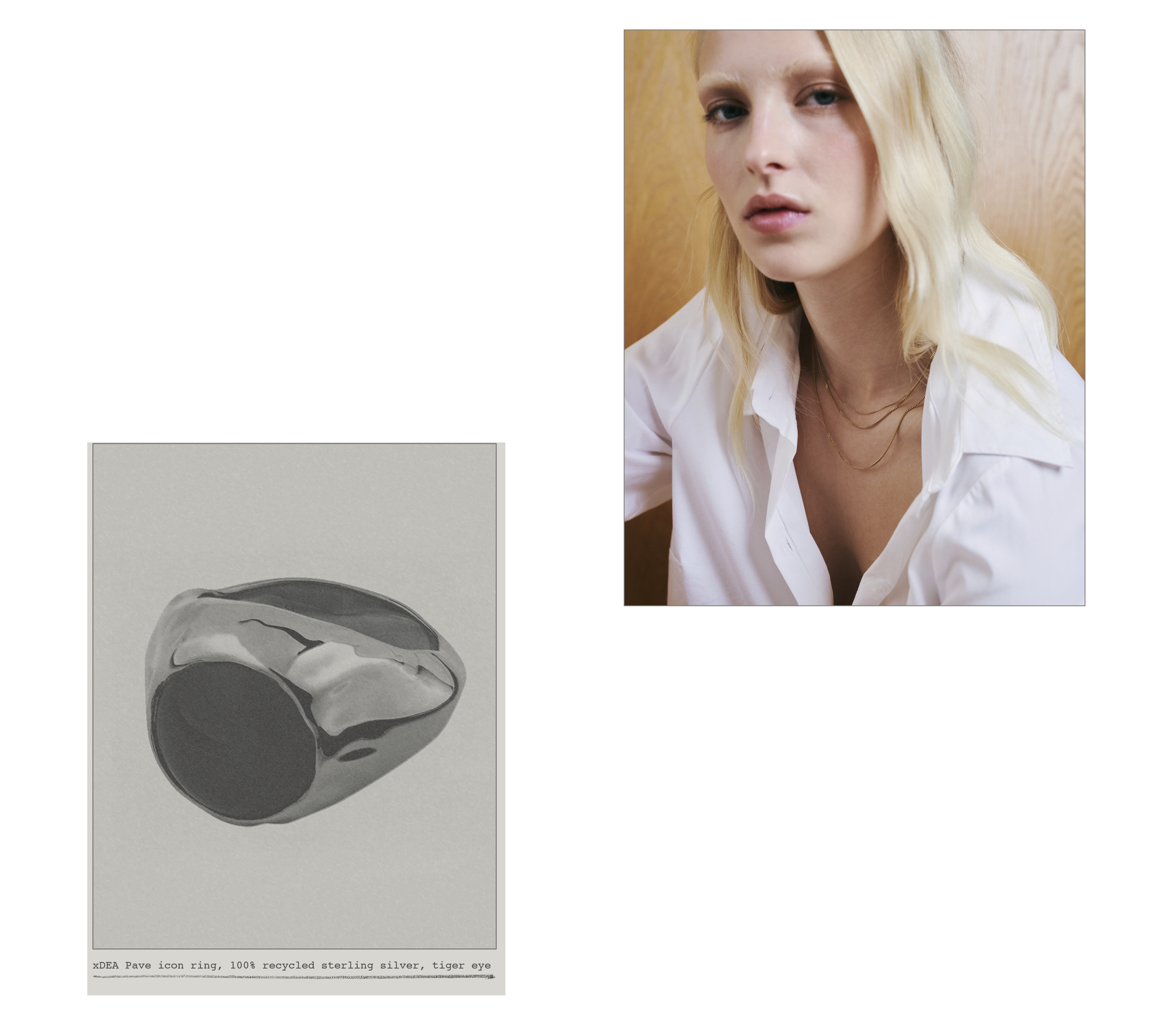 Pilgrim C Pre XDea Web Landingside Desktop 04 New